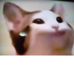 cat군단