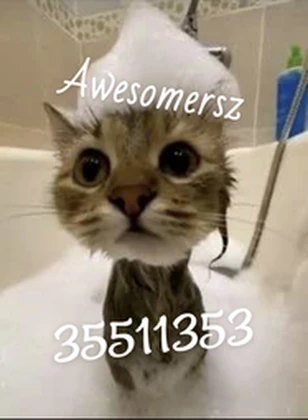 Awesomersz Roblox group icon