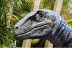Steve The Raptor