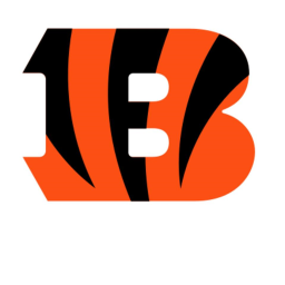 Cincinnati Bengals Stadium!