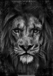 The black lions group