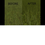 Grass Killer Studios