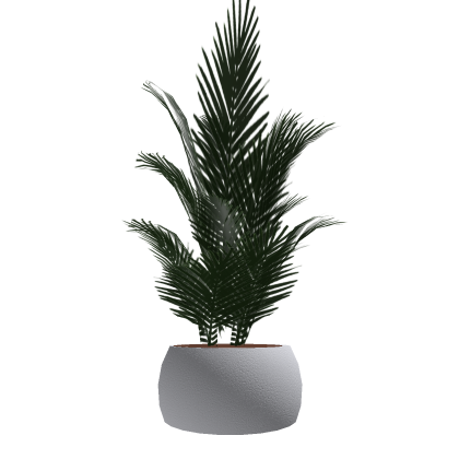 Modern Potted Plant