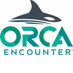 Orca Encounter
