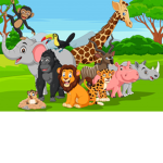 The Wild!!