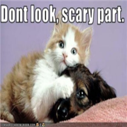 lol dog and cat Roblox decal