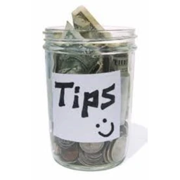Developer Tips icon