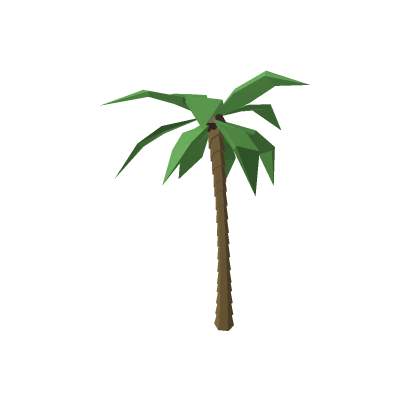 Plam Tree