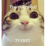 The nuggets0