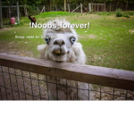 Noobs forever xD