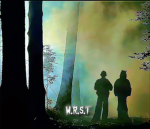 W.R.S.T