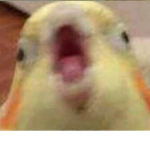 ;-;;;;