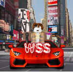 {WSS} West Side Skis