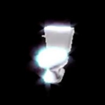 Polish Spinning Toilet