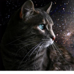 warrior cats roblox role-play