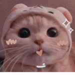 Williqm’s Apparel <3