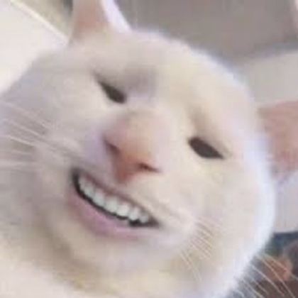 Funny Smiling Cat Roblox decal