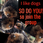 The Savage Pup Army