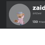 Zaid fan group!