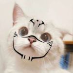 sijnebulx