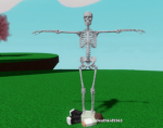 DingusMingus