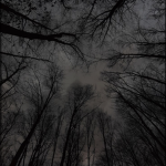 darkscars