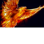 The Firey Falcons [Ro-Ghoul]