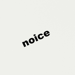 noice (The beginning)