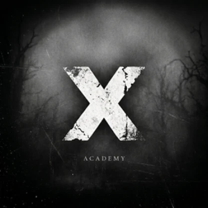 Academy X Roblox group icon