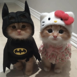 Couture’