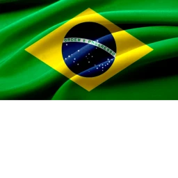 Welcome to brazil icon