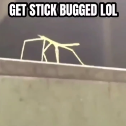 Get stick bugged simulator