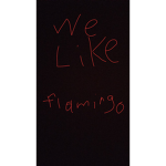 Who like's flamingo