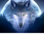Wolfpack Og