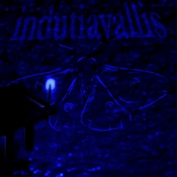indutiavallis [e.4] icon