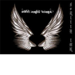 The Angel Empire