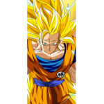 Goku's!