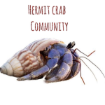 The Hermit crab gang