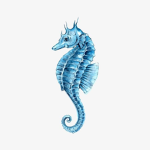 Its Seahorse Squad