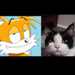 TwoTailedKittyen Games
