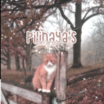 pilinaya's fan group!