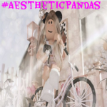 #AestheticPanda's