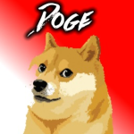 Doge_Studio's