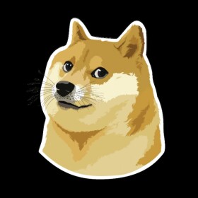 Doge D.C 