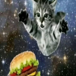 Kittenplush