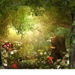 ~MysticalForest~
