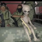 Mexican Insurgency RP