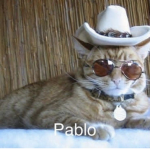 Vaqueros Unidos