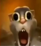 Cookies are yummy REEEEEEEEEEEEEEEEEP