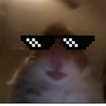 Vx7d0